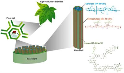 Current status and future prospects of pretreatment for tobacco stalk lignocellulose